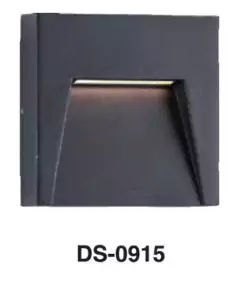DS－0915